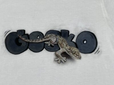 Gecko T-shirt 拡大 ニホンヤモリ Tシャツ エアブラシアート